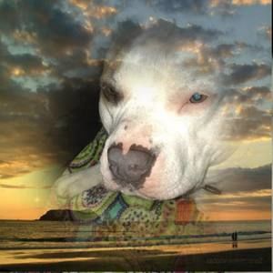 Meet your Posher, Theresa